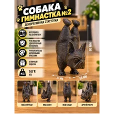 Декоративная статуэтка М3Д «Собака гимнастка №2» Декоративная статуэтка М3Д «Собака гимнастка №2»