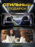 Злая утка на торпеду автомобиля